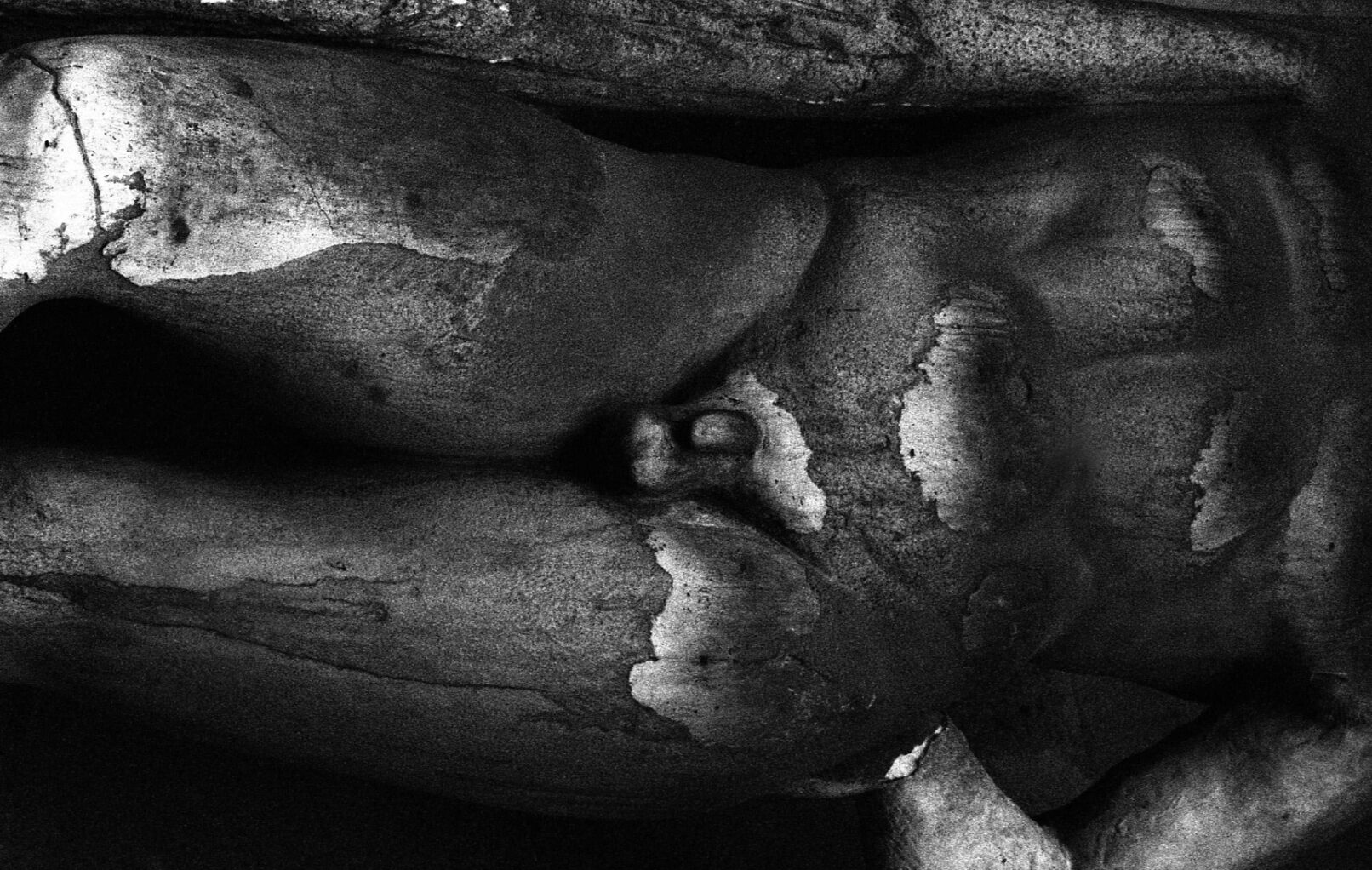 statue de poussiere buste