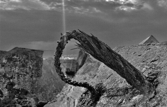 Amares amères : Photographie Vincent Dugast Arsnovis 2022-2023