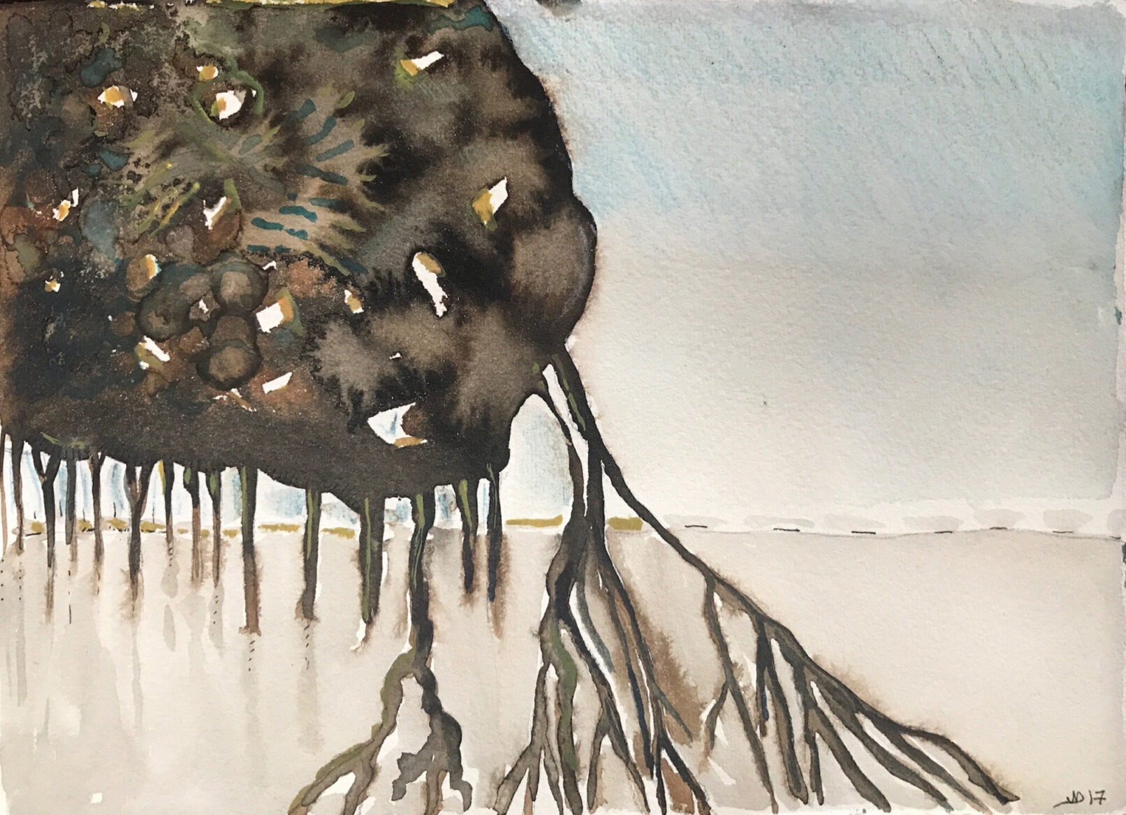 Mangrove, aquarelle et encre de chine sur papier 2017