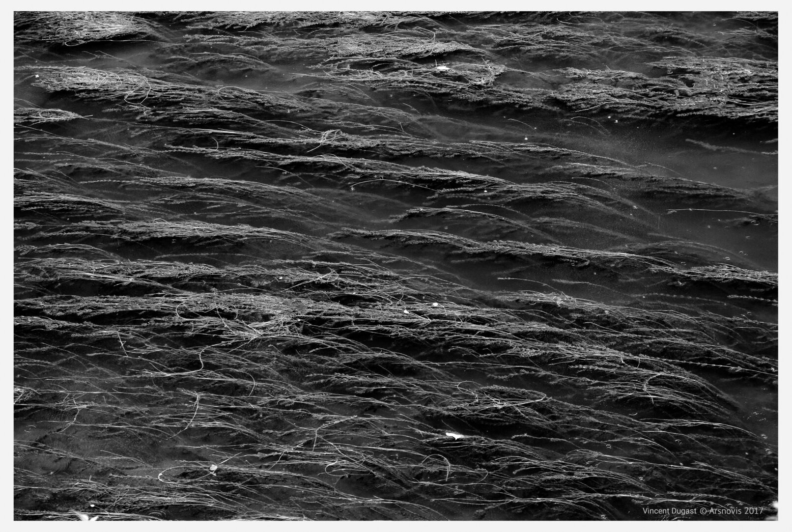 Vibrations liquides Photographie, Quercy, 2017