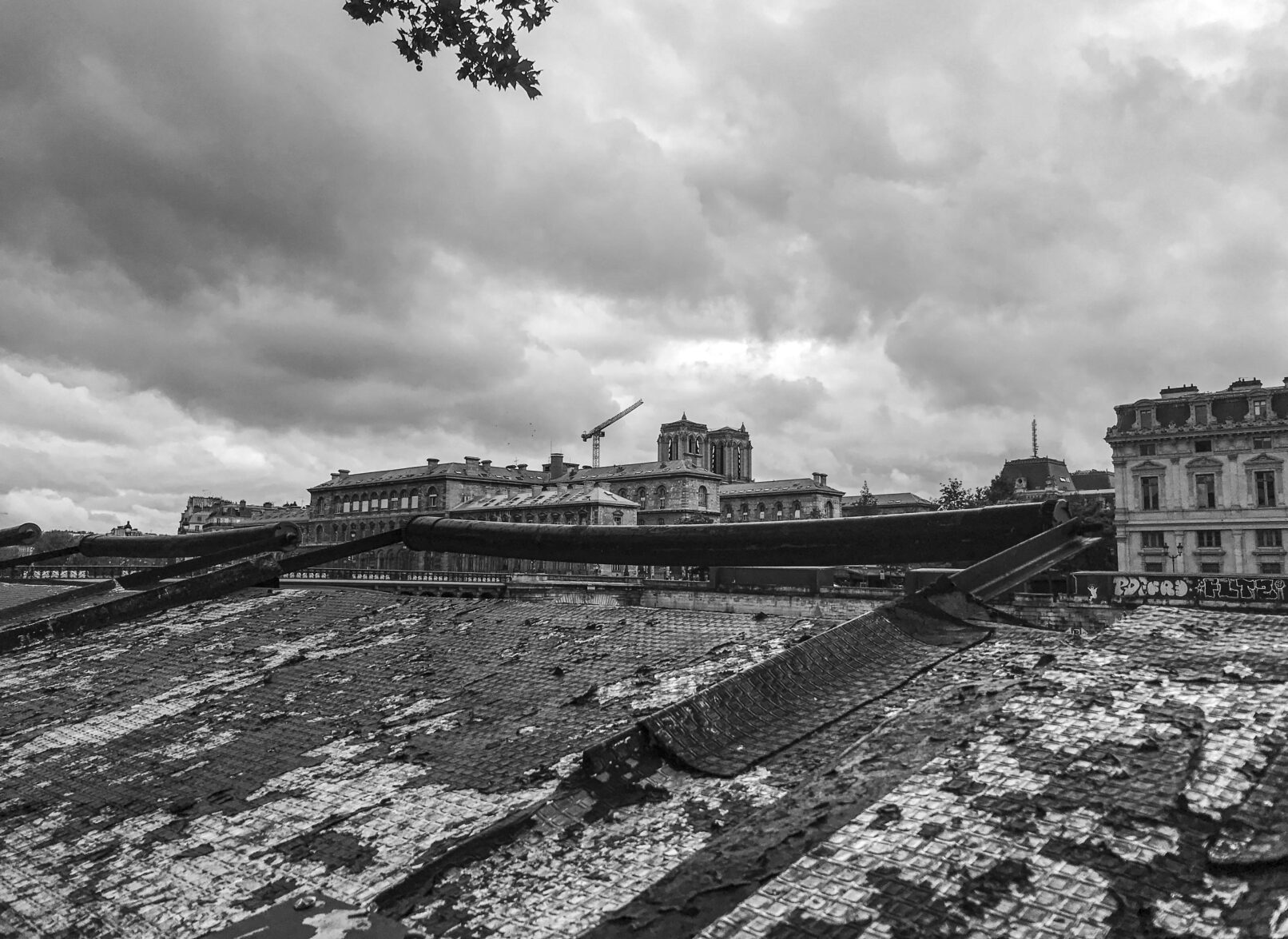 Notre-Dame Photographie 2020