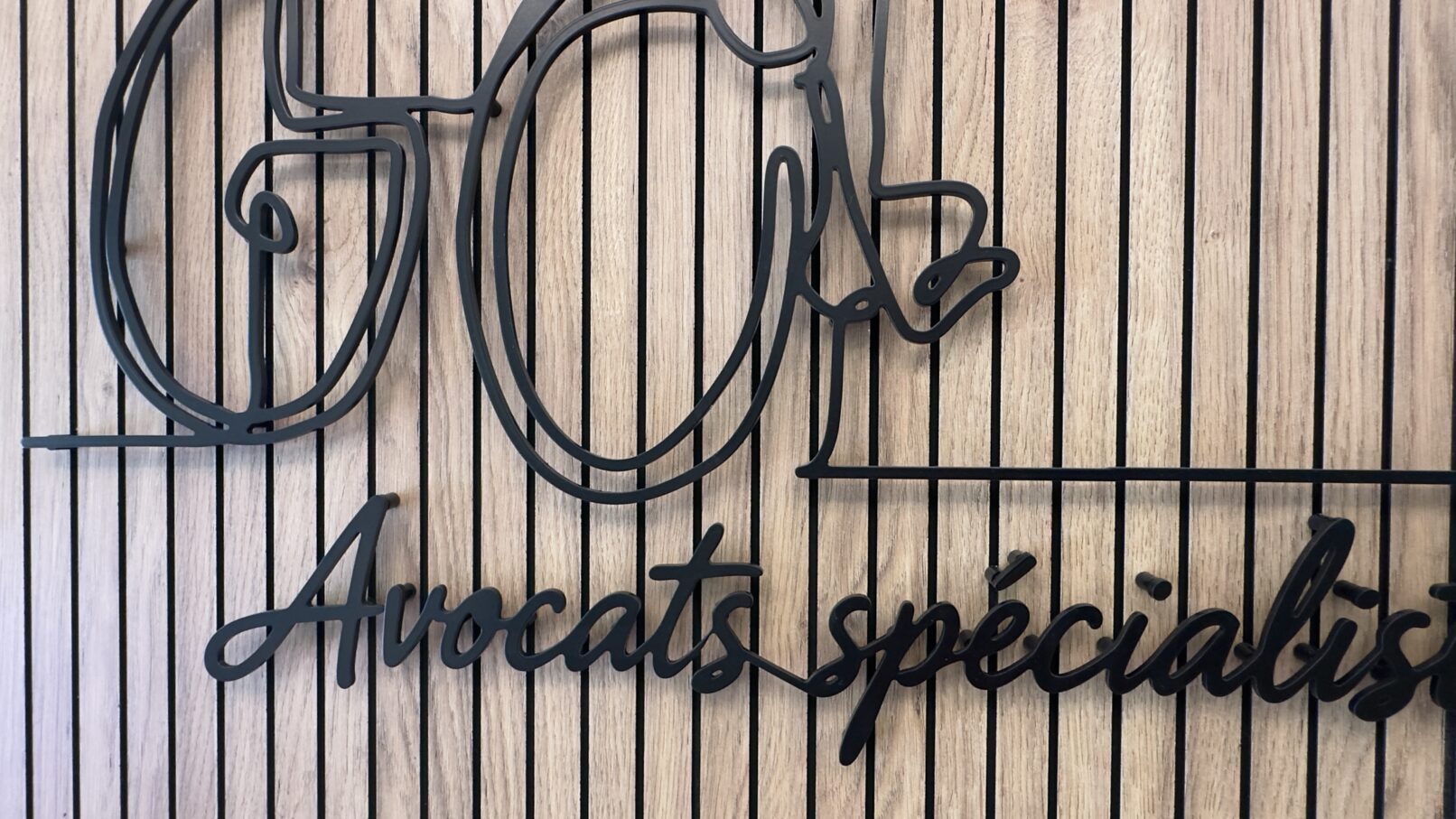 Coppet Avocat, dessin mural en reliefau fil de metal 2026